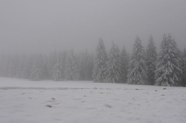 * Image 6