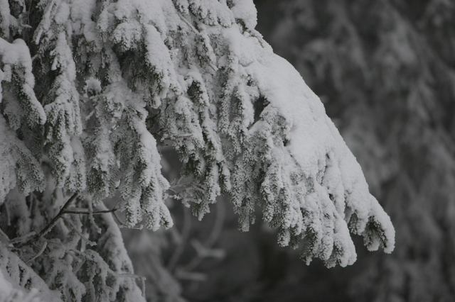 * Image 10