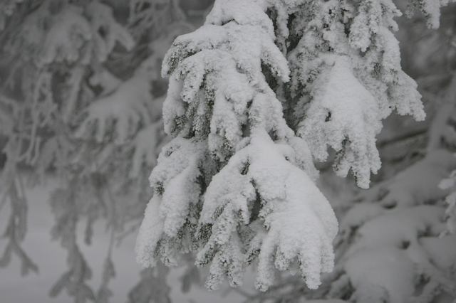 * Image 11