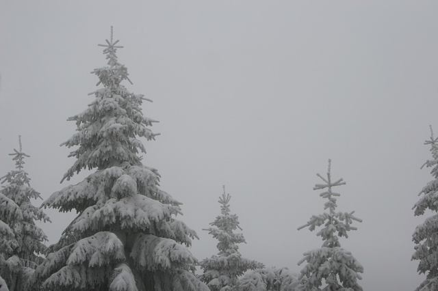 * Image 12