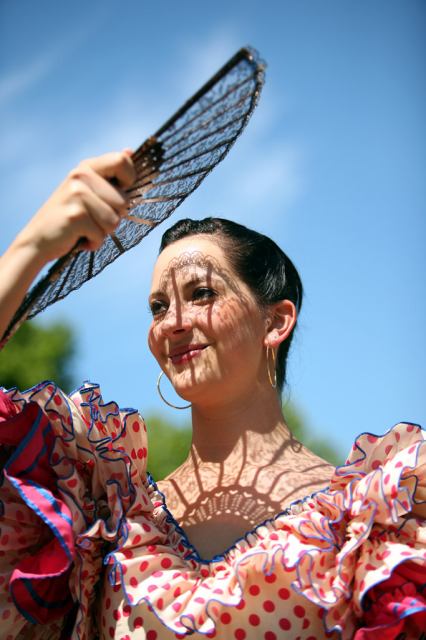 * Image 12
