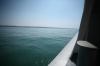 RMKPic_037.JPG - 2006:06:24 16:31:24