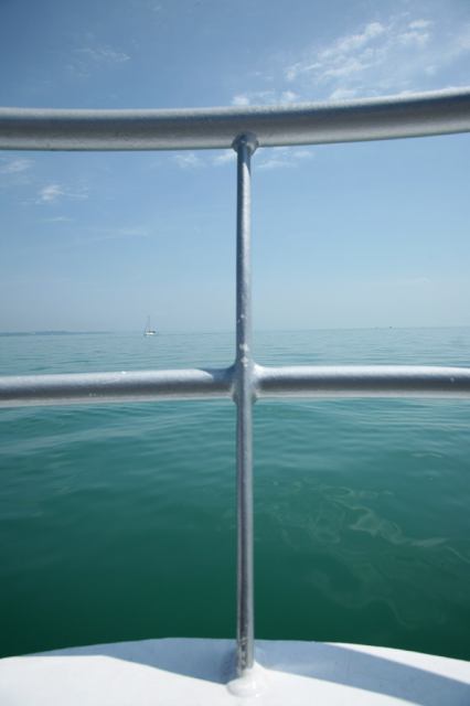 * Image 7