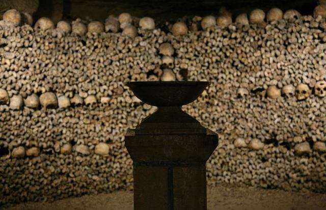 * Image 33
