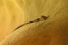 02b.jpg - 2006:02:13 17:06:26