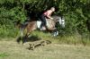 RMKPic_002.JPG - 2003:07:18 17:51:09