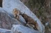 wilhelma_2005_21.jpg - 2005:01:23 14:48:15